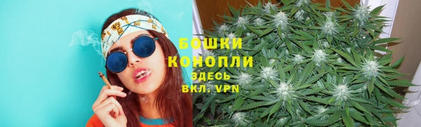 прущий лед Козловка