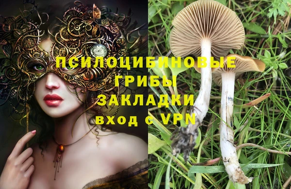гидра Козельск