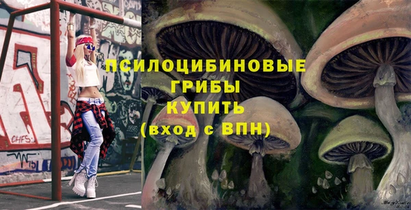 прущая мука Кодинск