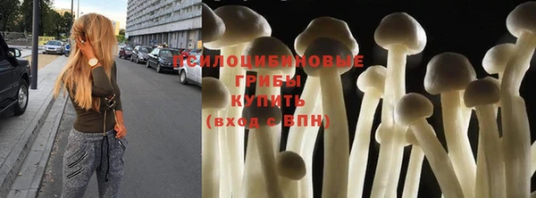 прущая мука Кодинск