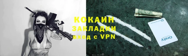 прущий лед Козловка
