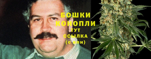 прущий лед Козловка