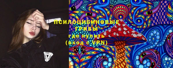 прущий лед Козловка