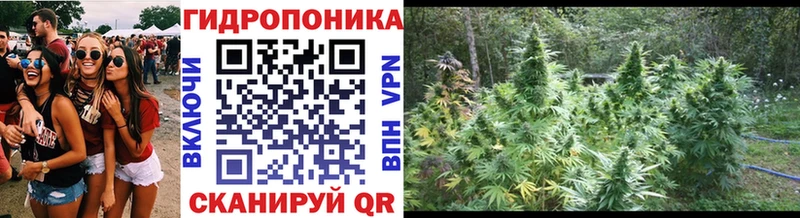 Купить  Дятьково  Бошки марихуана семена 